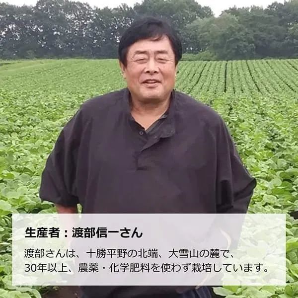 江戸時代、元禄、華絵、瑠璃金彩、東屋図大沈香壺。　獅子、 江戸時代、元禄、華絵、瑠璃金彩、東屋図大沈香壺。 獅子、