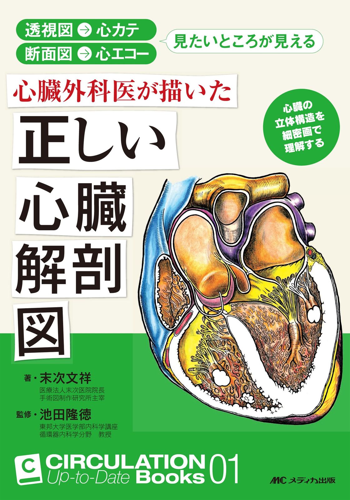 心臓外科医が描いた正しい心臓解剖図: 透視図→心カテ 断面図→心