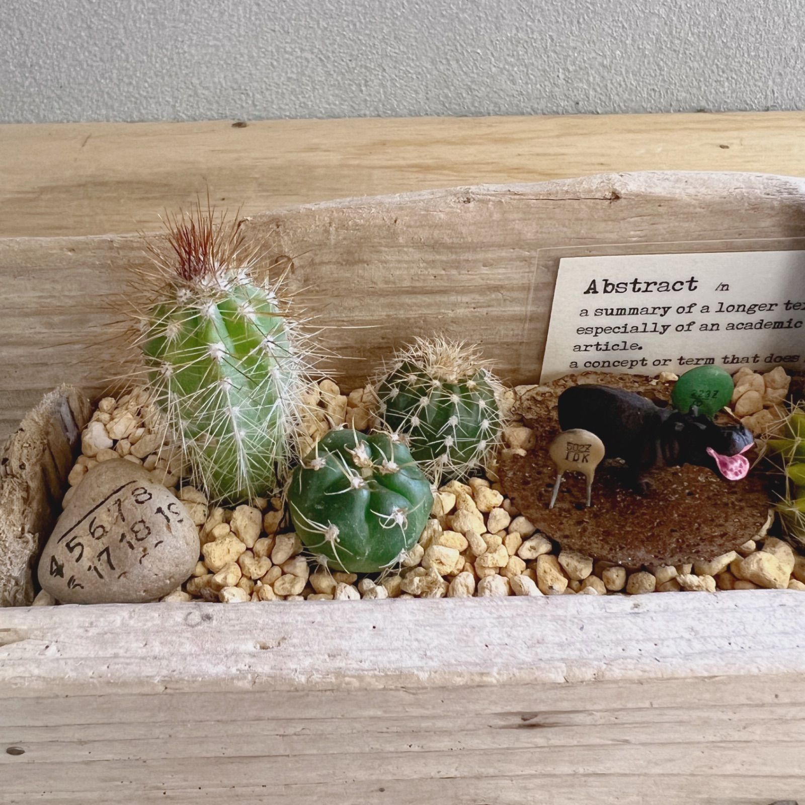 流木プランターの寄せ植え ミニサボテン カバ - メルカリ