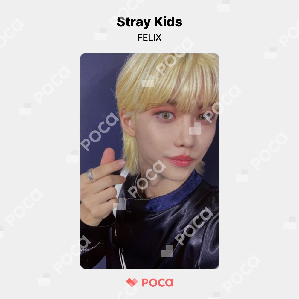 StrayKids スキズ D'FESTA MINIEDITION フィリックス Amazon.com: DICON D'FESTA MINI EDITION STRAYKIDS DREAMUS