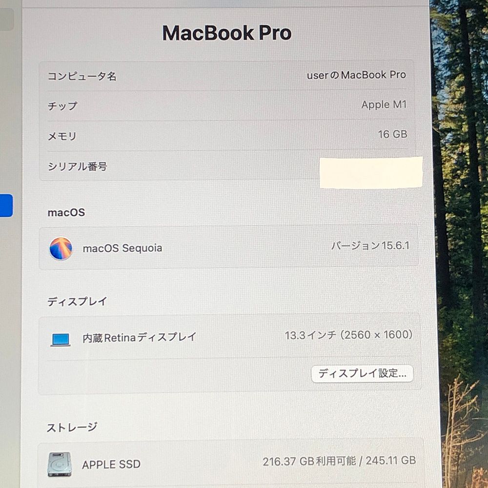 本体のみ Apple