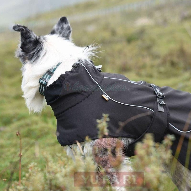 犬服