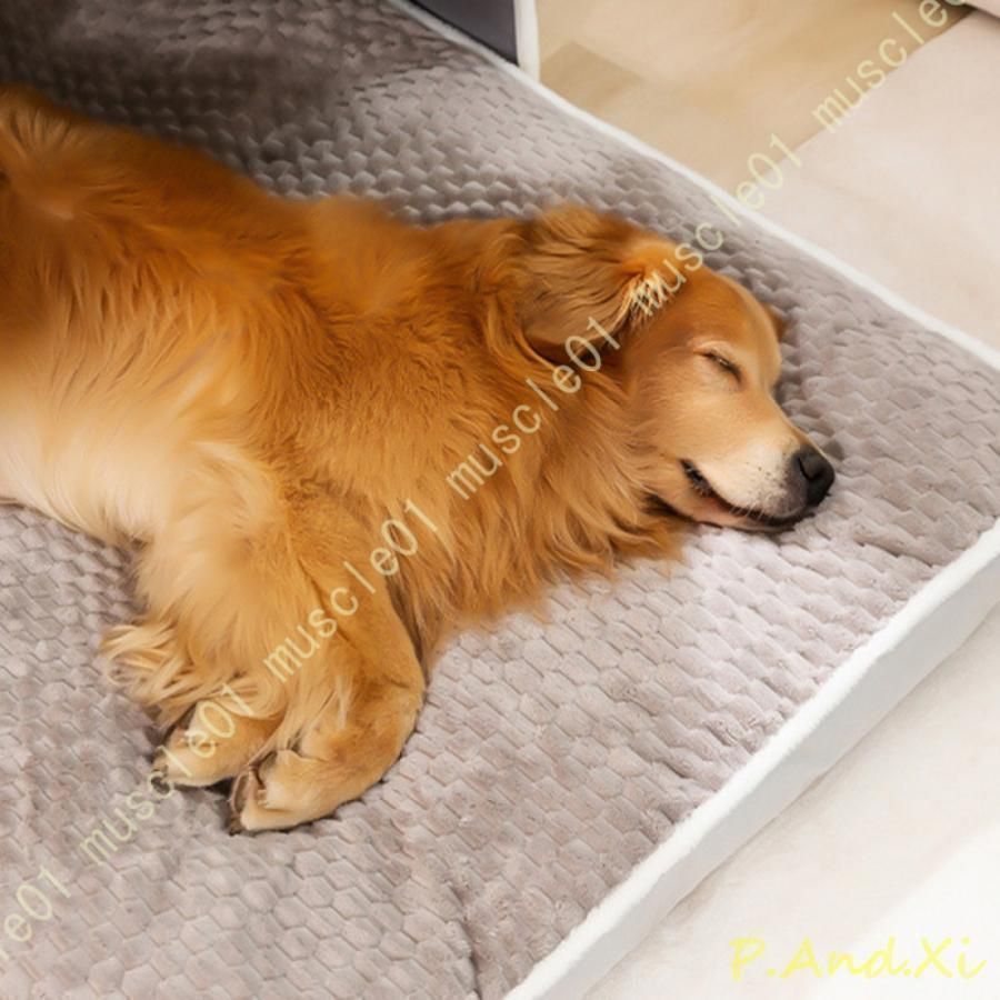 冬用ベッド ク