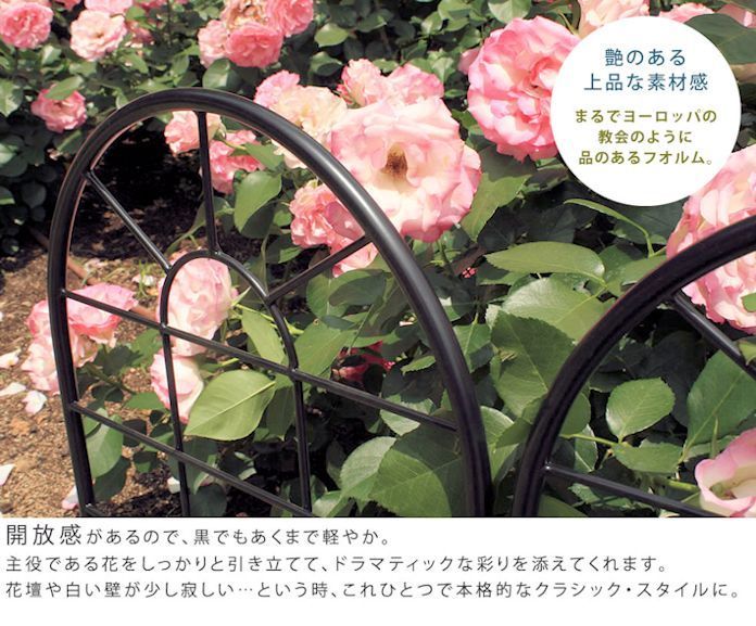 ロータイプ