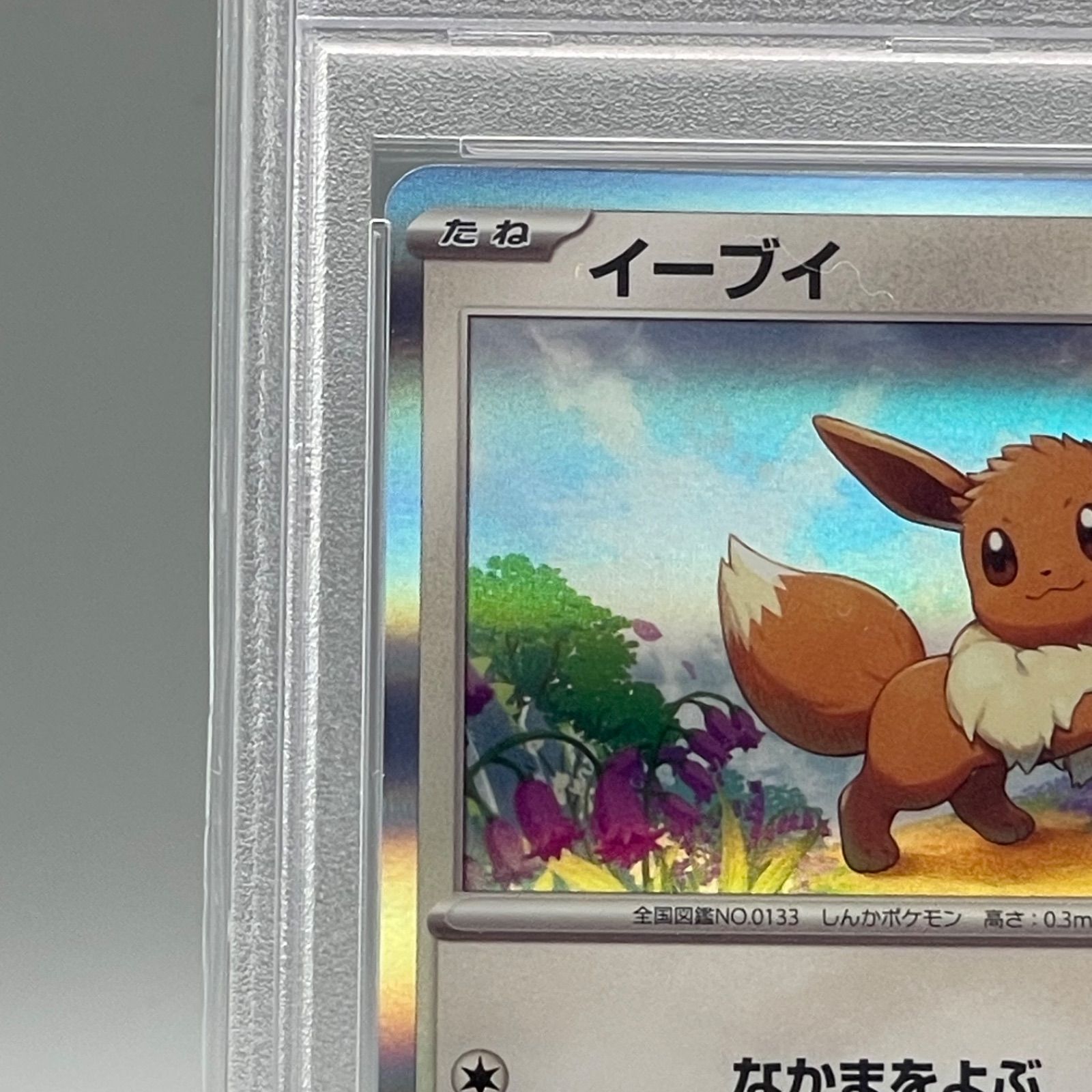 ポケモンカード教室 イーブイ PSA10 プロモ