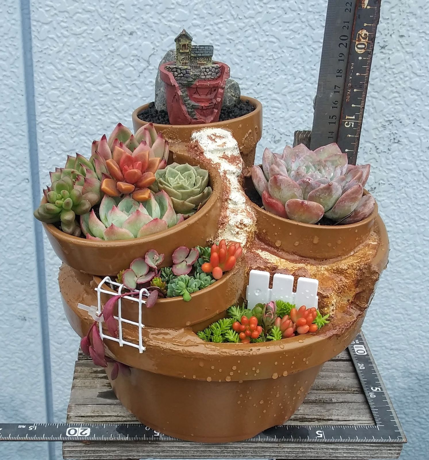 6101多肉植物の寄せ植え☆組鉢作品☆天空の城 - メルカリ