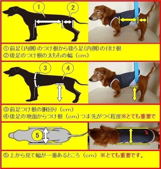 犬の車椅子、ミニチュアダックス用車椅子、犬用車椅子 - メルカリ