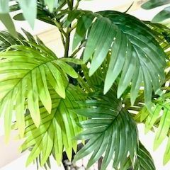 フェイクグリーン 人工観葉植物