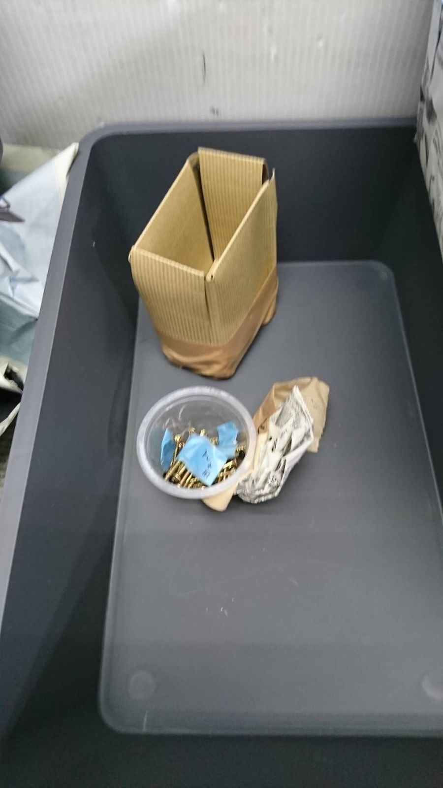 送料無料A58081 ゾウリムシ飼育繁殖