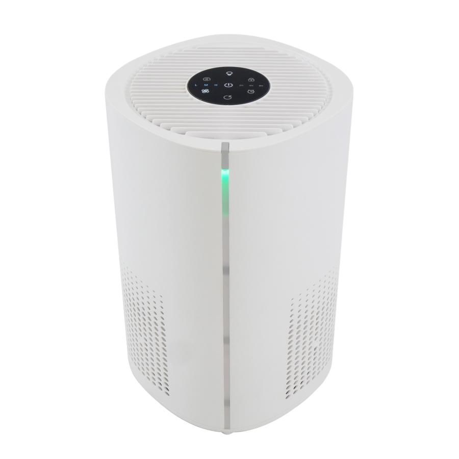 空気清浄機 小型 消臭 省エネ 花粉 脱臭機 たばこ 除菌 2737 2737 小型 