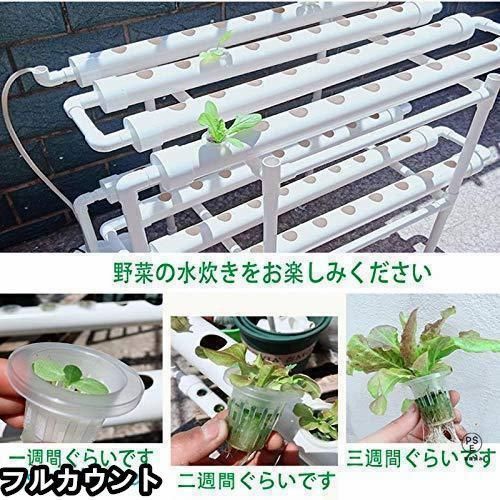 水耕栽培キット