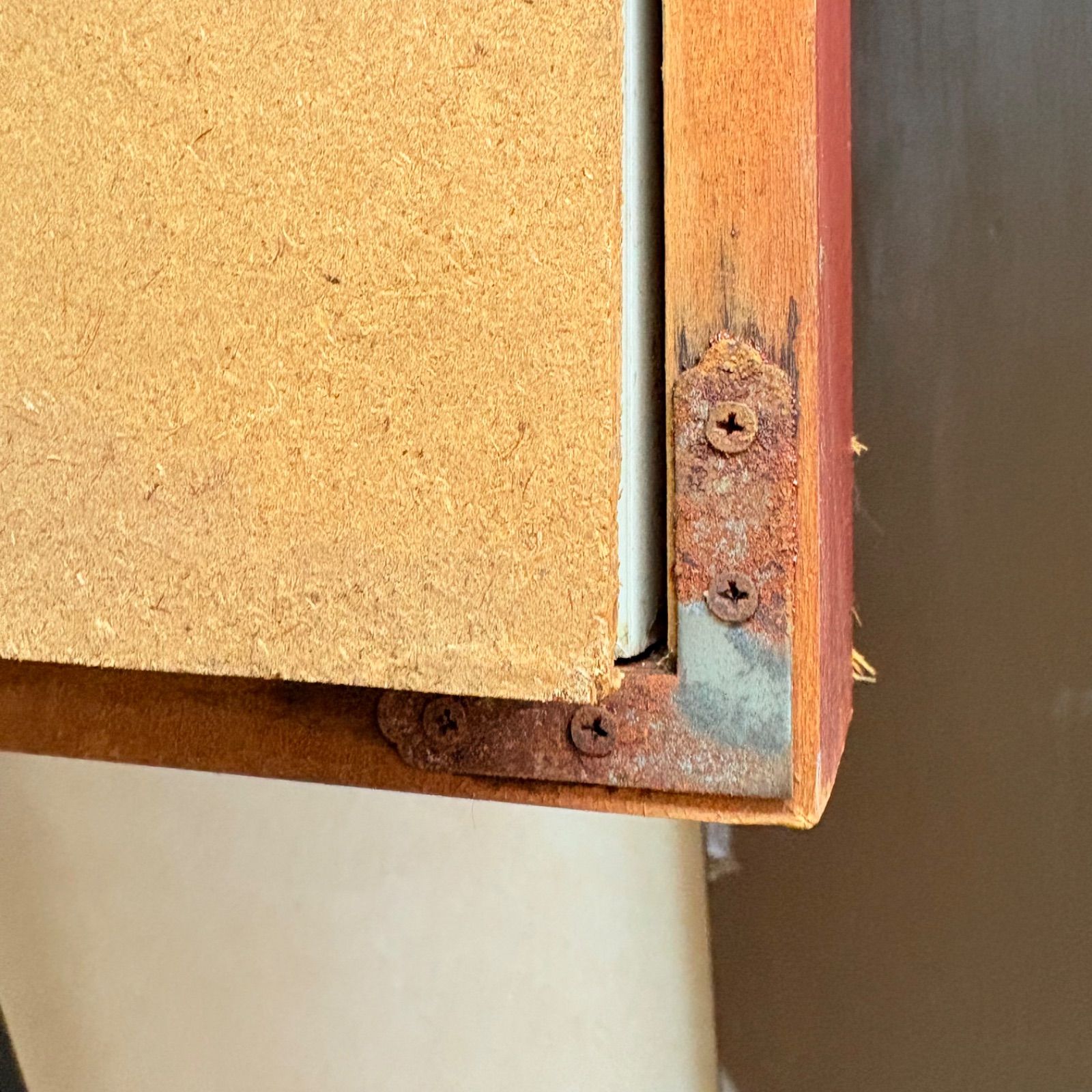 Disney ラディ＆トランプ