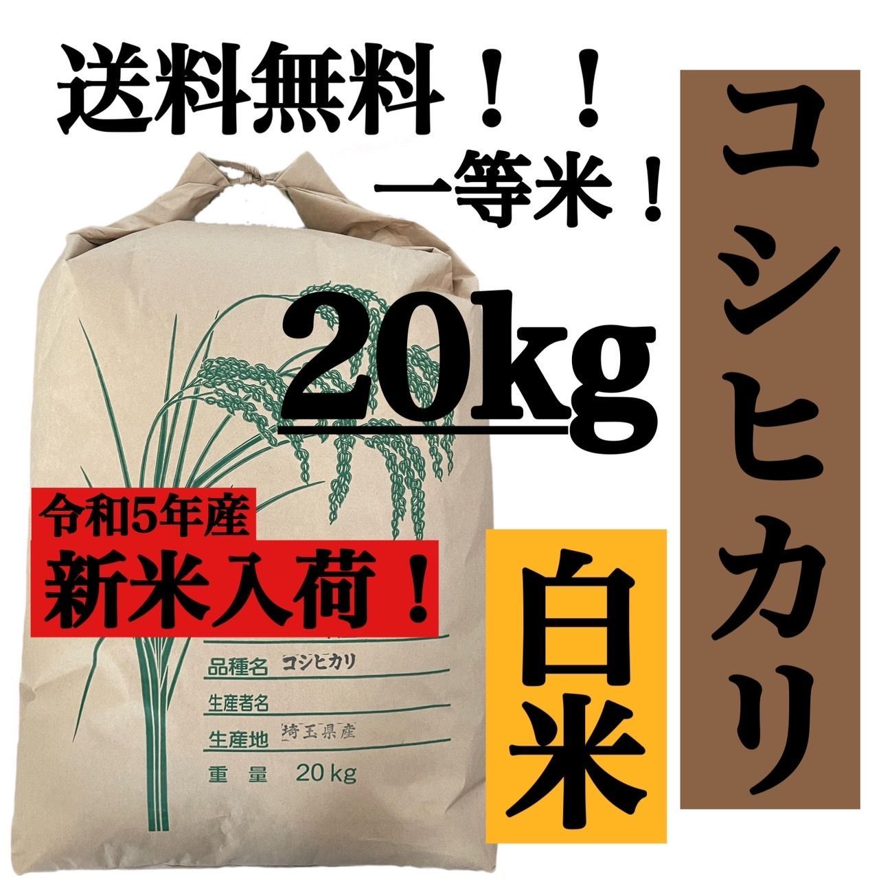 20キロ　コシヒカリ　米　新米　20kg　令和5年産　送料無料　白米　埼玉県産