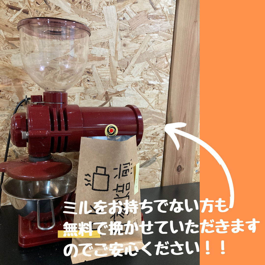 10杯分 ハワイコナエクストラファンシー　自家焙煎コーヒー　プレゼントにも