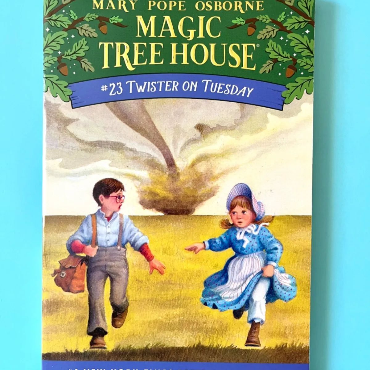 5冊セット マジックツリーハウス MAGIC TREE HOUSE 英語多読 洋書 - メルカリ