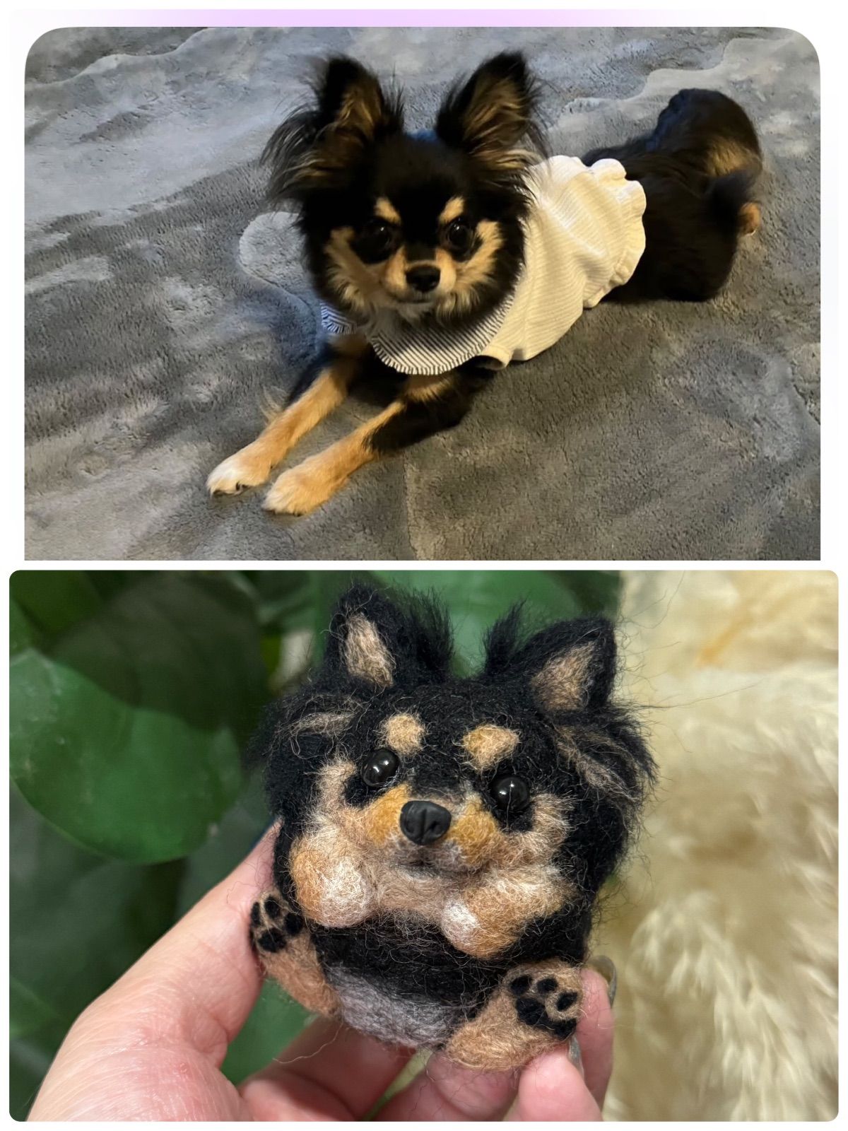 オーダー可》まんまるあにまるず うちの子オーダー 羊毛フェルト