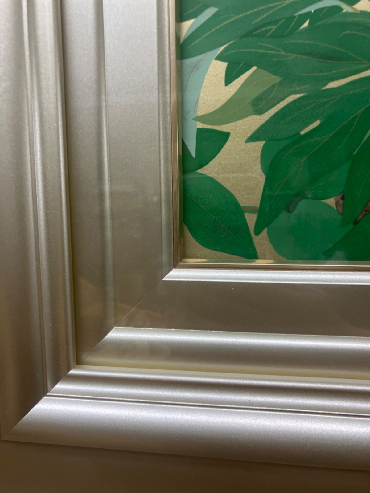 中島千波 「洛陽・白雲山の野生牡丹」 125/250 - メルカリ