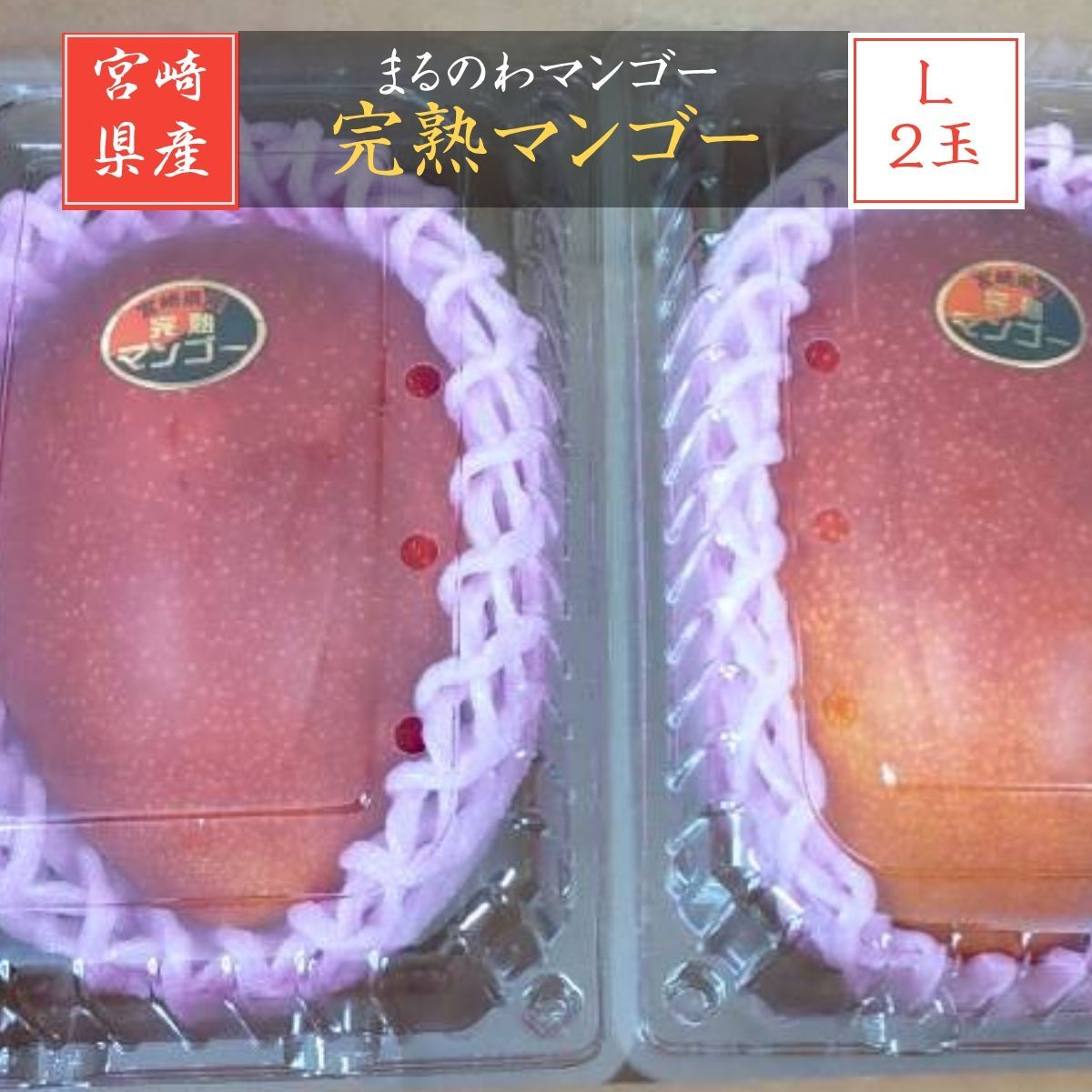 マンゴー まるのわマンゴー 完熟マンゴー L 2個 宮崎県宮崎市 5|上～5|中の出荷