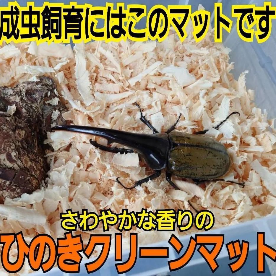 高質で安価 針葉樹マット20L クワガタ カブトムシの成虫管理や