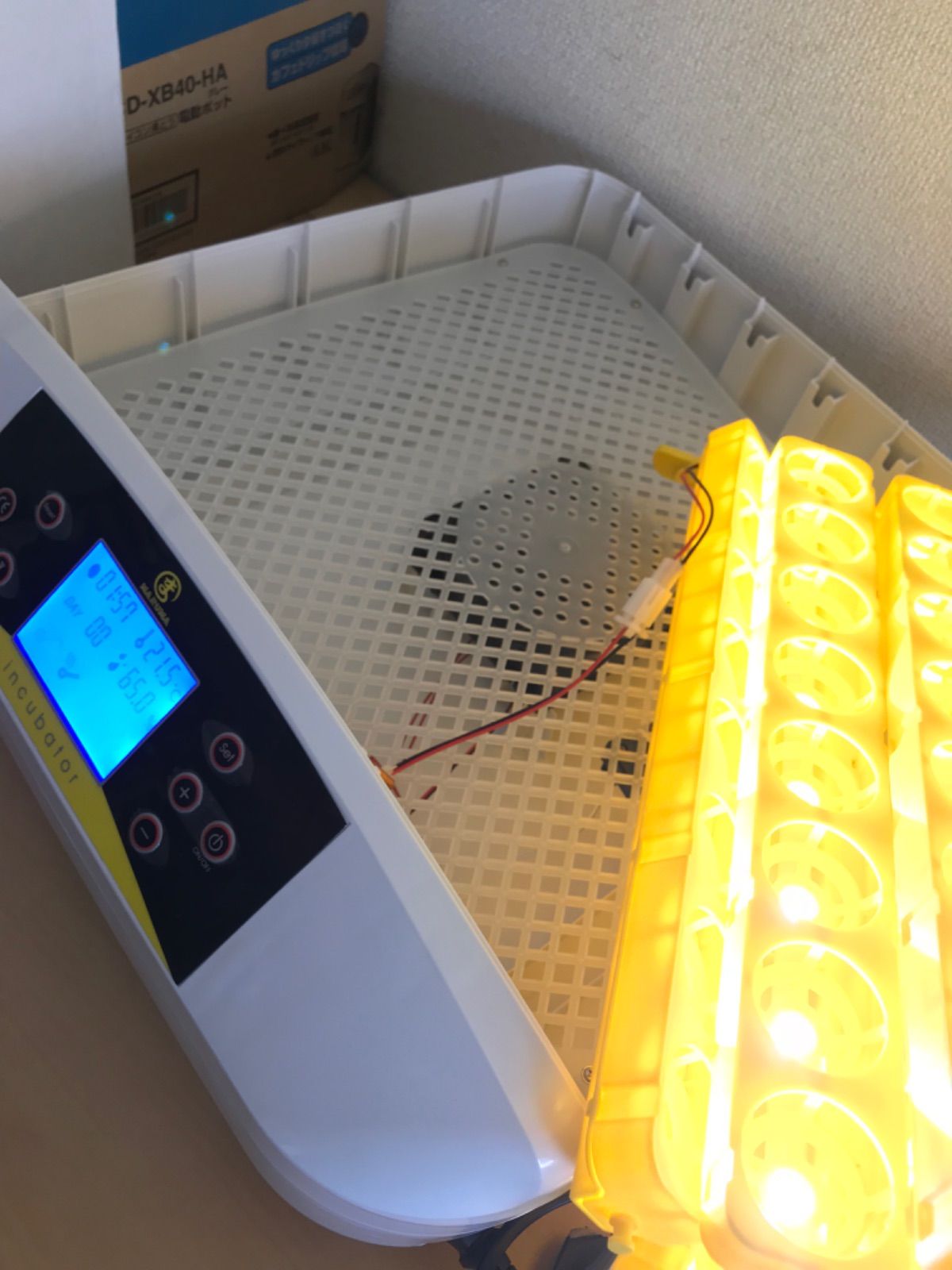 LED 鳥類専用孵卵器 孵卵機 ふ卵器 孵化器 ふ化器インキュベーター 56