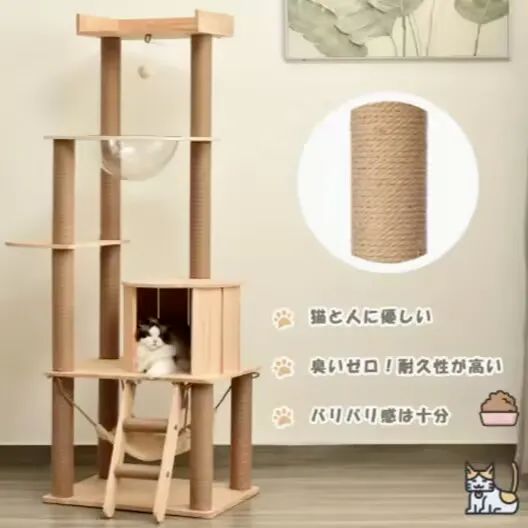 多層のキャットジャングルタワー