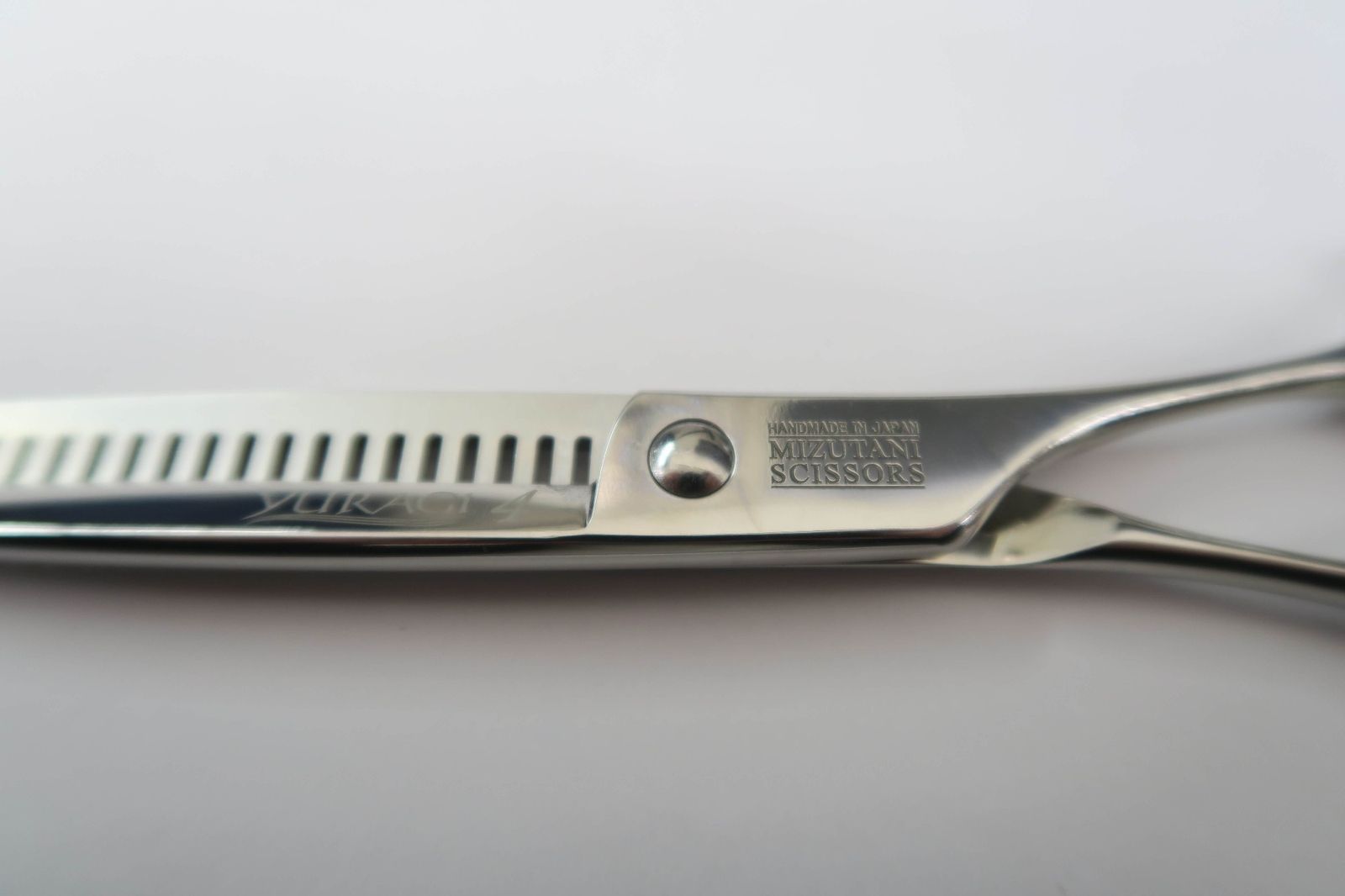 Cランク ミズタニシザーズ