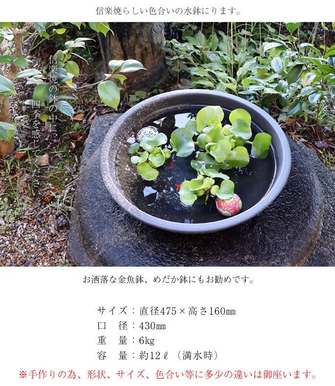 水鉢