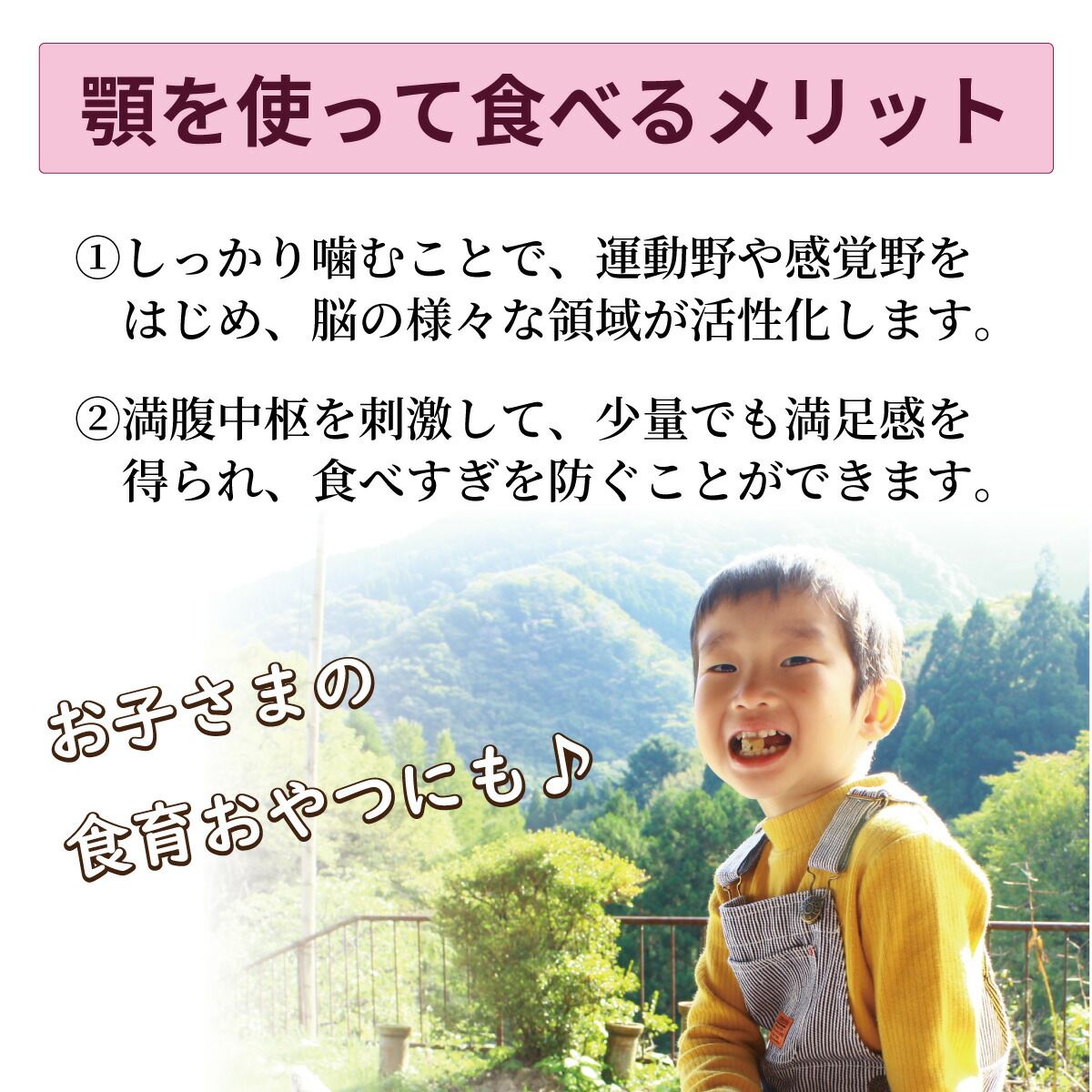 無添加 砂糖不使用 米粉 ひじきせんべい 焼き菓子 クッキー 子ども
