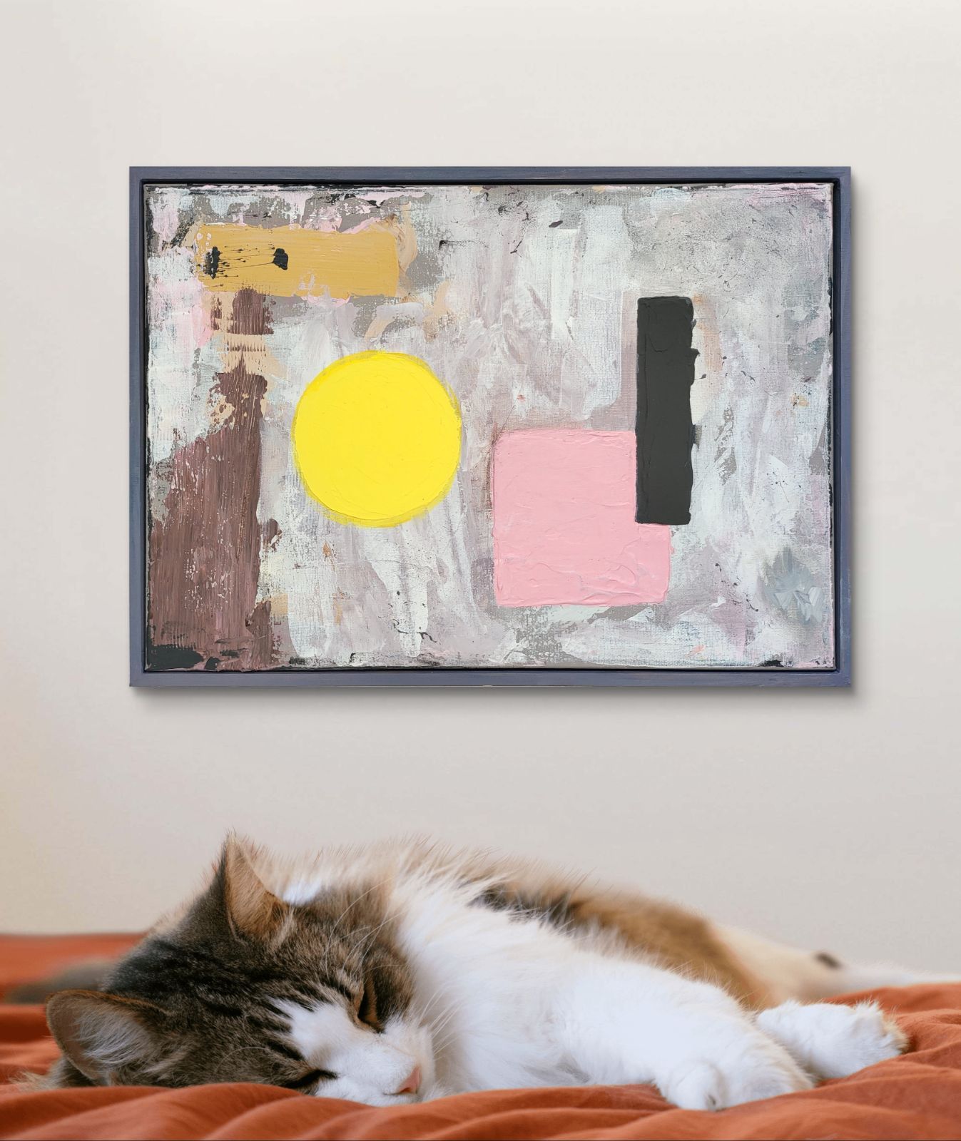 アガベ チタノタ tonyトニー産シーザー 良血統 おまけでSAD、阿修羅