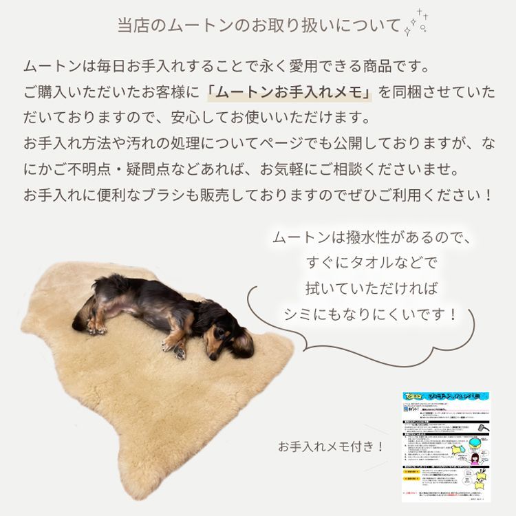 長毛