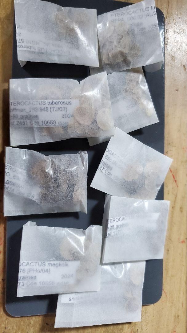 プテロカクタス フルセット