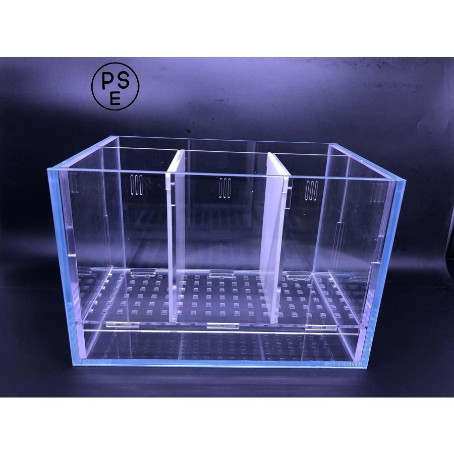 ベタ 水槽 ベタ飼育箱 プロの水槽 熱帯魚観賞魚 水族館 水槽を並べる BETTA ショーベタ 魚飼育