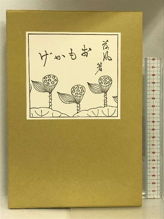 おもかげ (岩波文芸書初版本復刻シリーズ) 岩波書店 永井 荷風 - メルカリ
