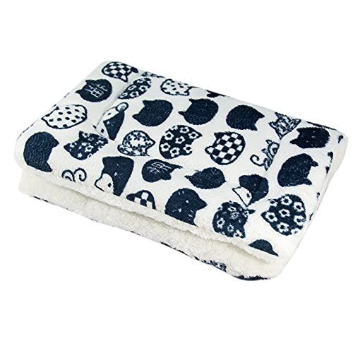 S9625】整備済 石油ファンヒーター ダイニチ FW-5622L