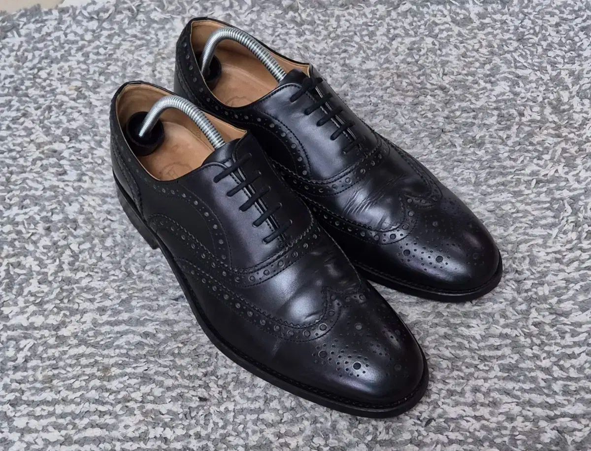 ウィングチップ 270
