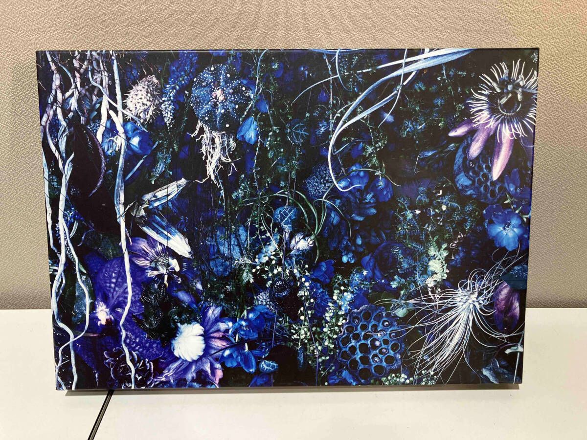 SUGIZO(LUNA SEA) CD ONENESS M(初回限定盤)(2SHM-CD) - メルカリ