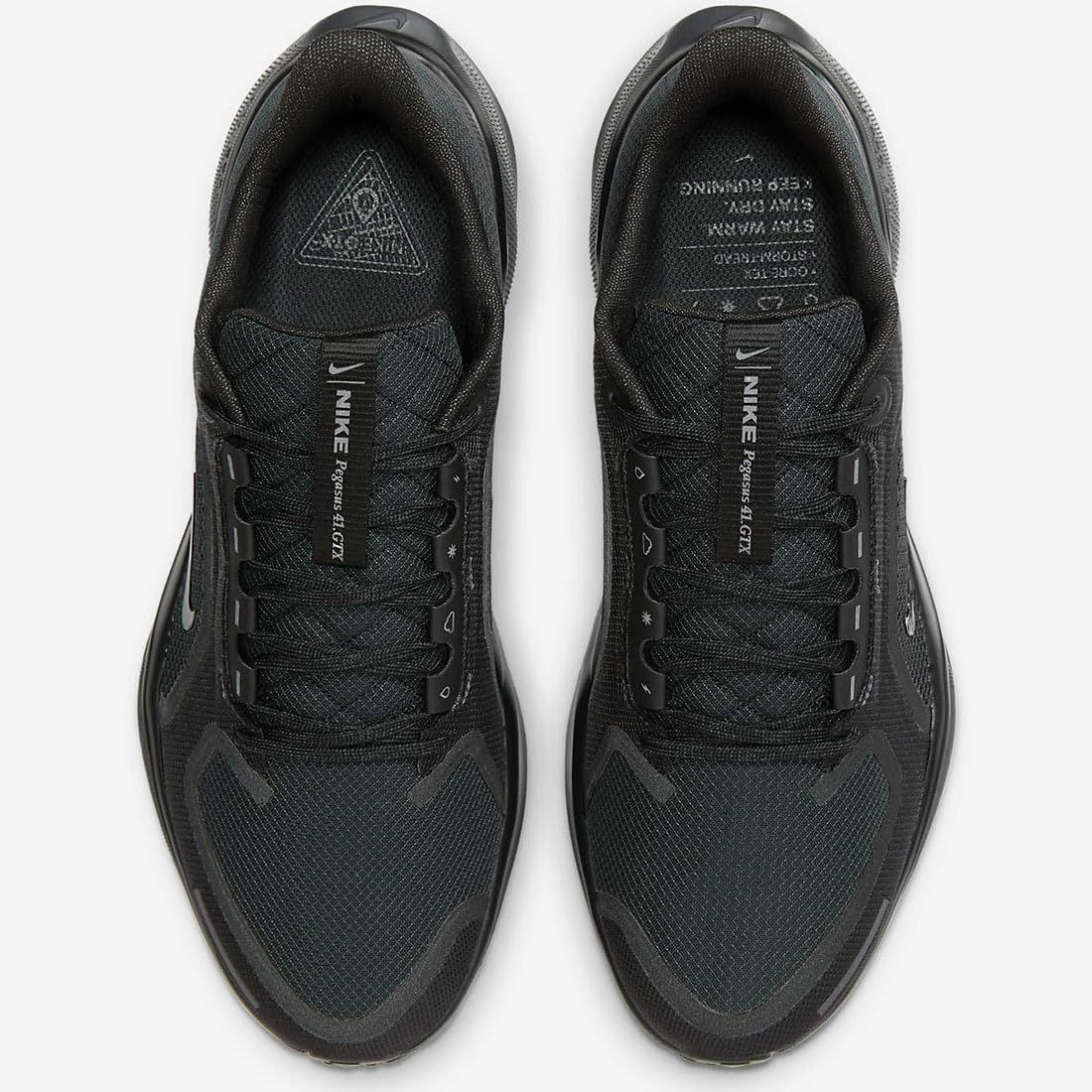 Pegasus 41