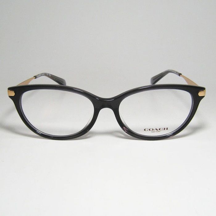 COACH コーチ レディース 眼鏡 メガネ フレーム サングラス HC6245F  