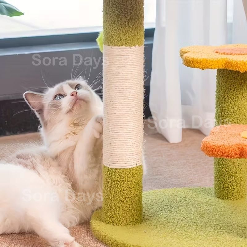 爪とぎ 運動不足解消