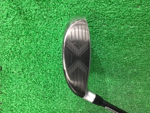 Ok様 EE SQ 生物の科学 遺伝 2019年11月 YJ OX