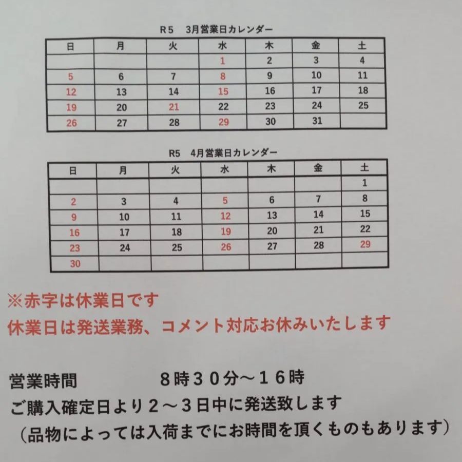 ゴーヤ　宮崎県産　7本入り（1kg）　クールメルカリ便配送-2