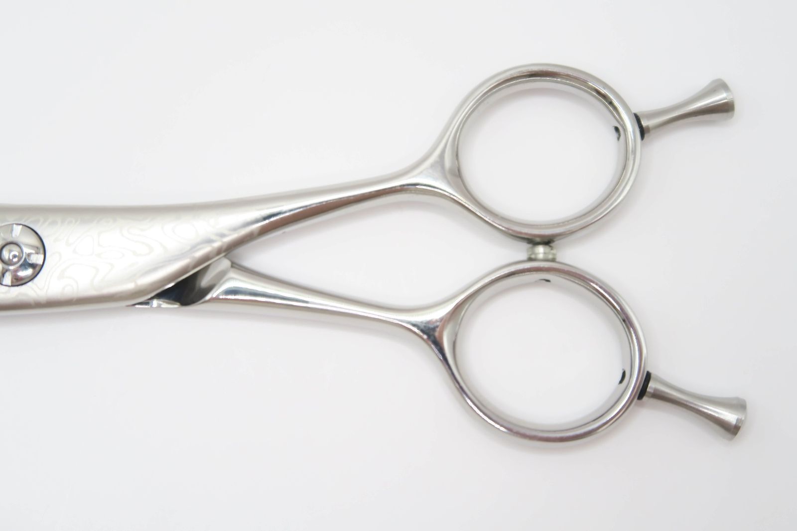 プリマード SHARK