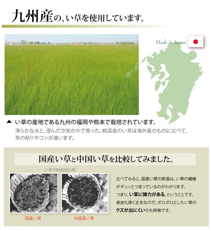 BIK1012646 日本製 国産 純国産 い草 上敷き カーペット 糸引織 湯沢