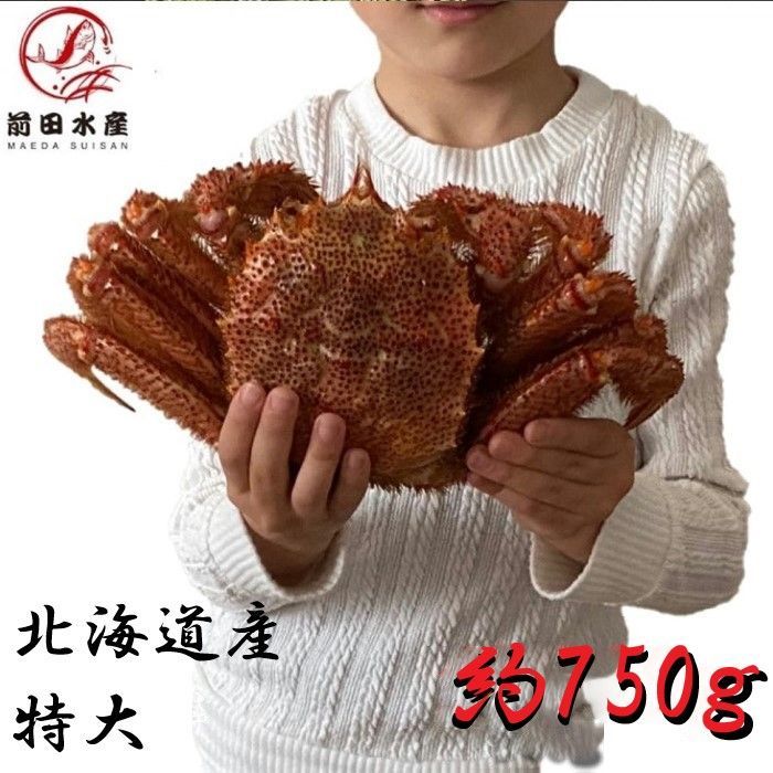 ?午後 ? 特大毛蟹 1尾 約750ｇサイズ 北海道産 ボイル 付け足 毛がに けがに ケガニ 母の日 父の日 お中元 お歳暮 フードロス 蟹 かに 毛がに