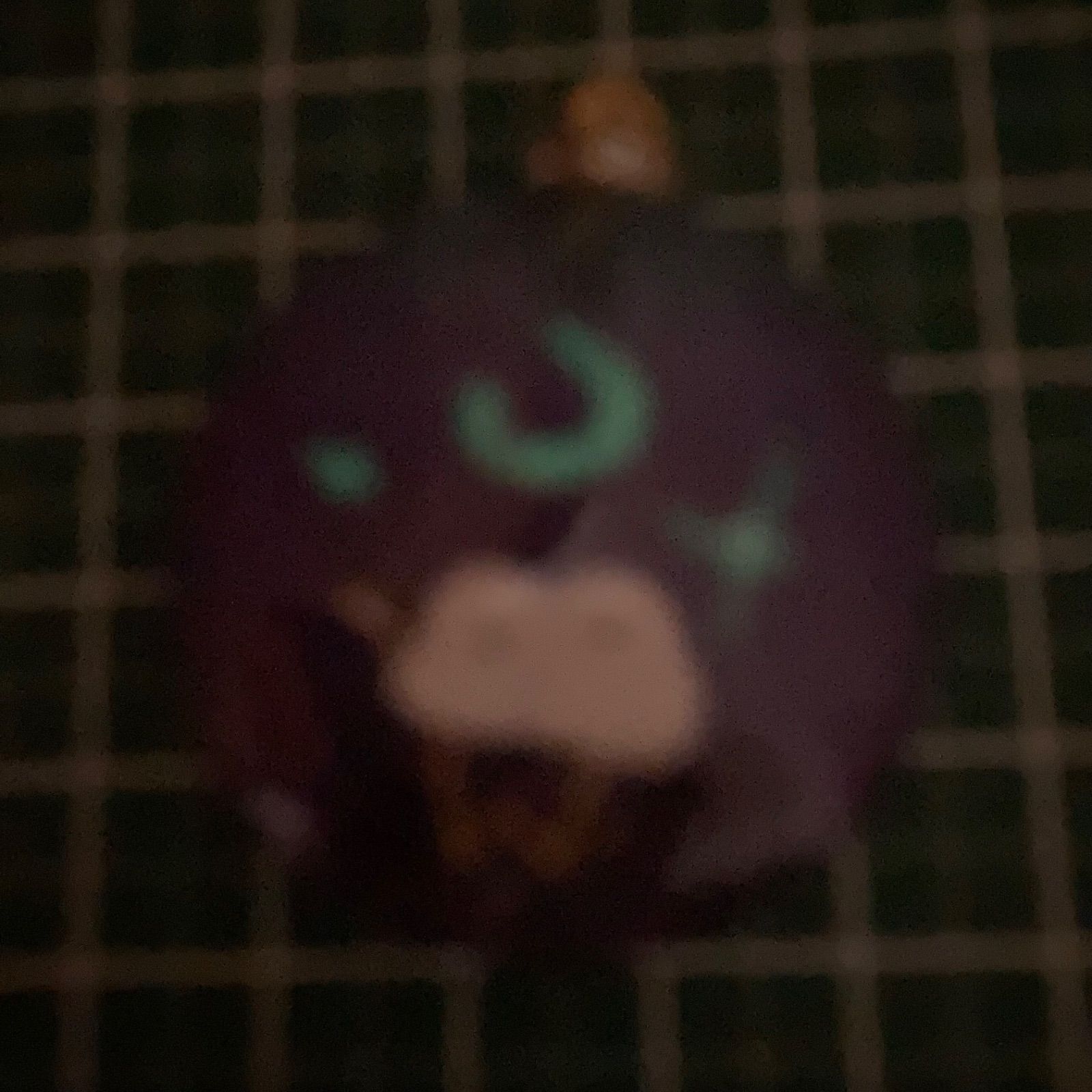 レジン🍀シマエナガキーホルダー🍀オルゴナイト🍀蓄光🍀 - メルカリ