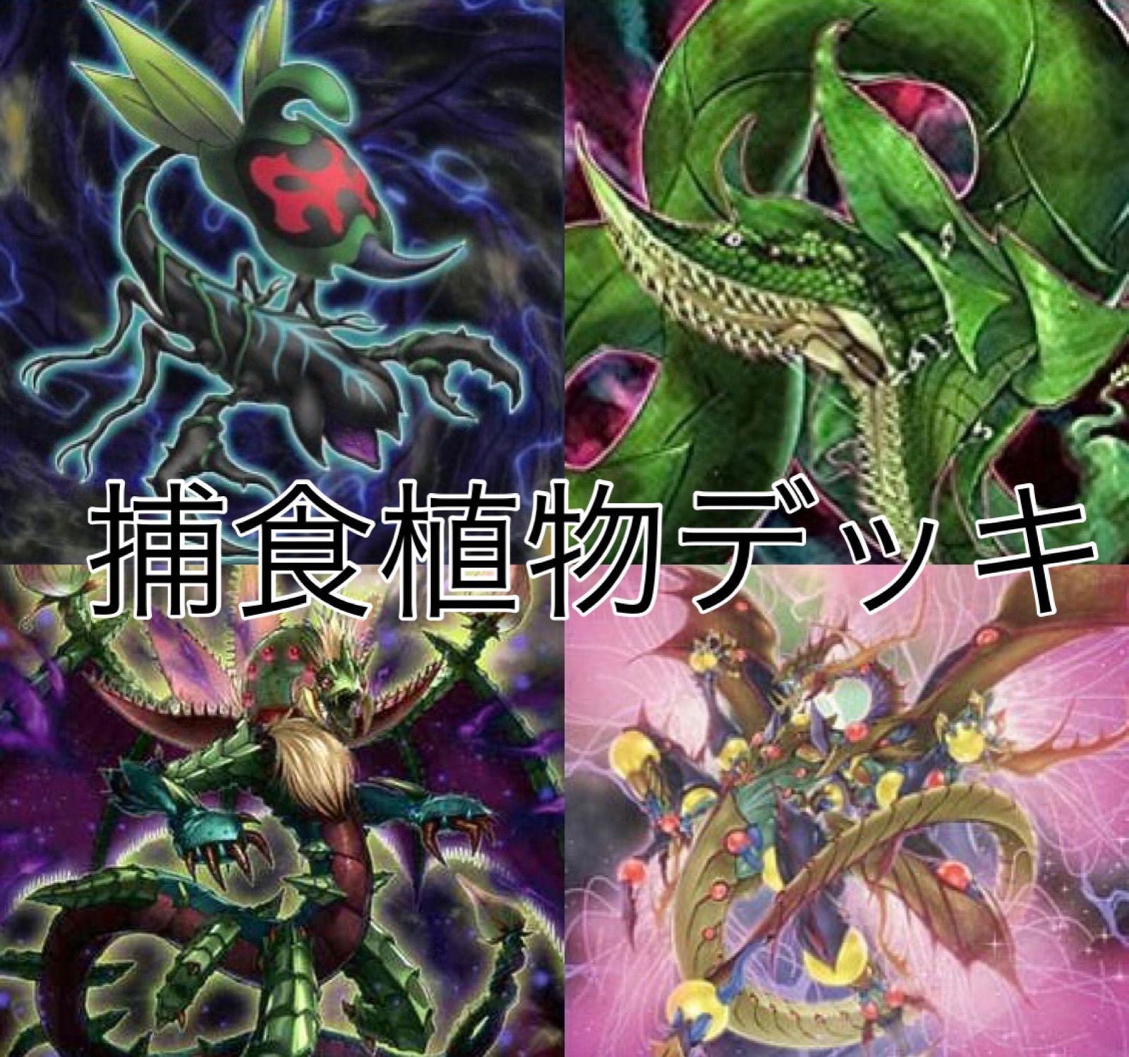 烙印捕食植物深淵の獣キマイラデッキ スリーブ EX付き 遊戯王 烙印深淵の獣