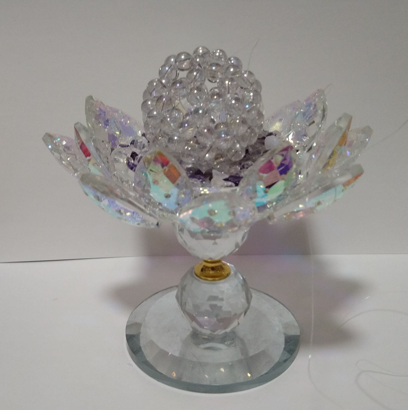 極楽鳥の剥製 置物 ガラスケース入り 直接取り引き希望 Yahoo