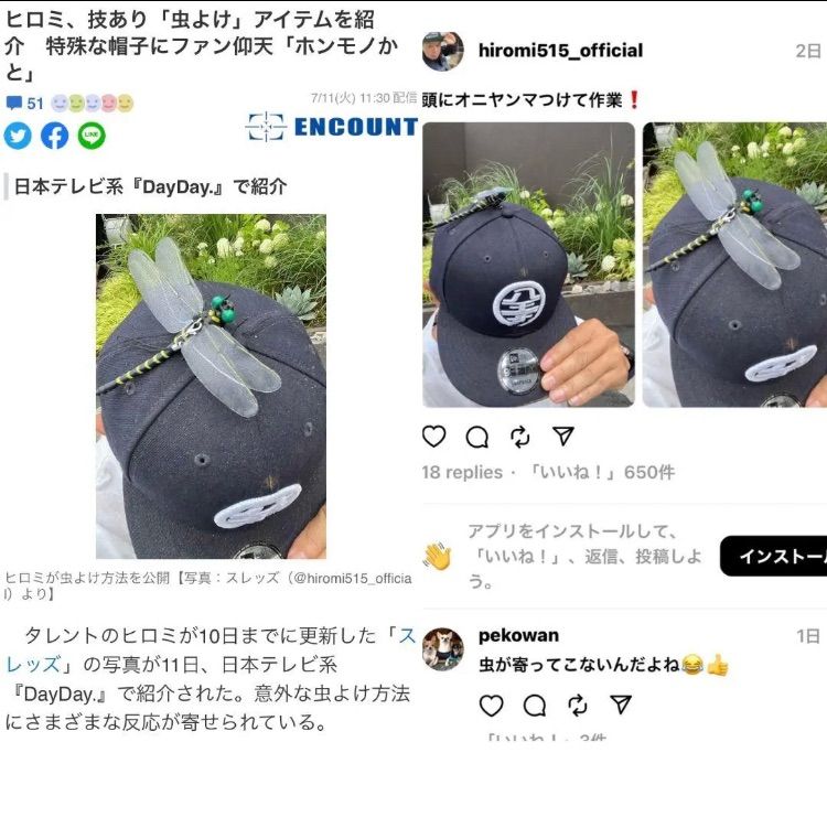 超リアル　12cm オニヤンマ　おにやんま　オニヤンマ君　オニヤンマくん　とんぼ　虫除け