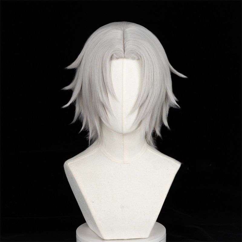 獄寺隼人 コスプレウィッグ 家庭教師ヒットマンREBORN! ウィッグ