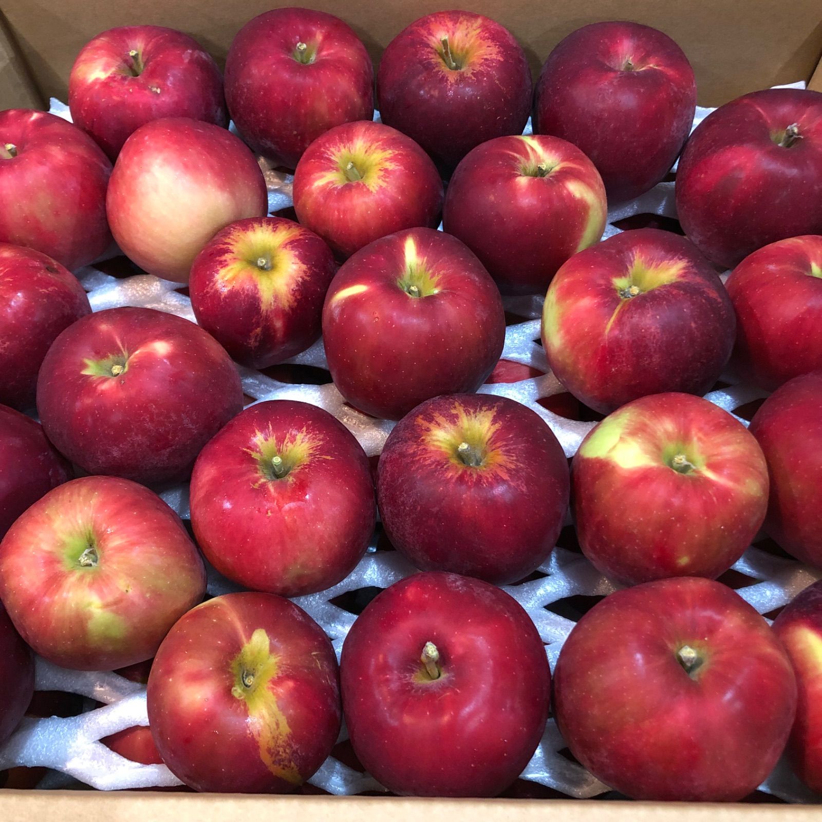 約10kg　葉とらず　72　紅玉　青森りんご　果物